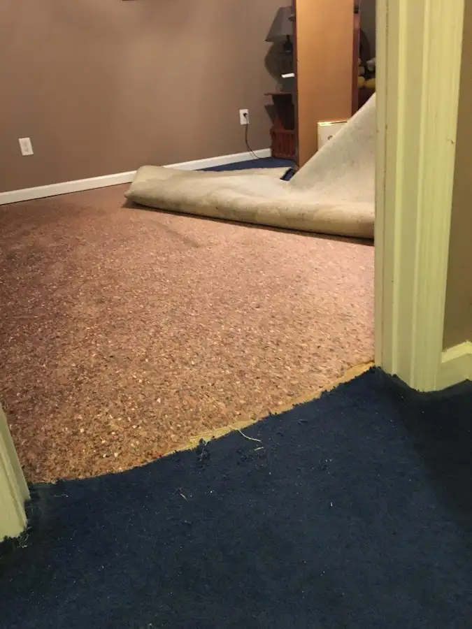 Carpet pad removal revealing water damage during Drying & Dehumidification in La Homa