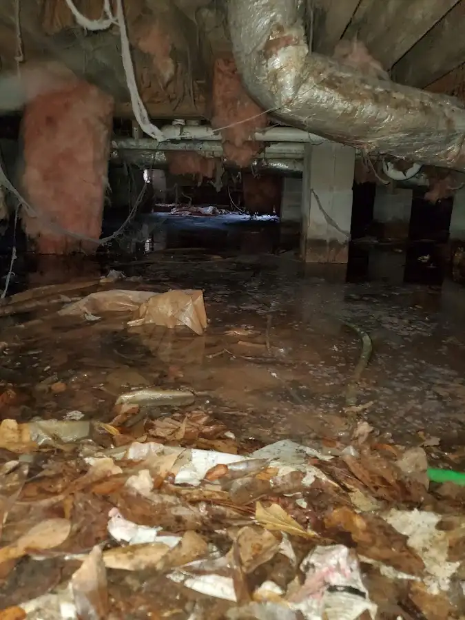 Crawl space flood assessment for Commercial Water Damage Restoration in La Homa